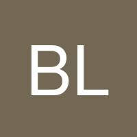 Brant Lively's profile image