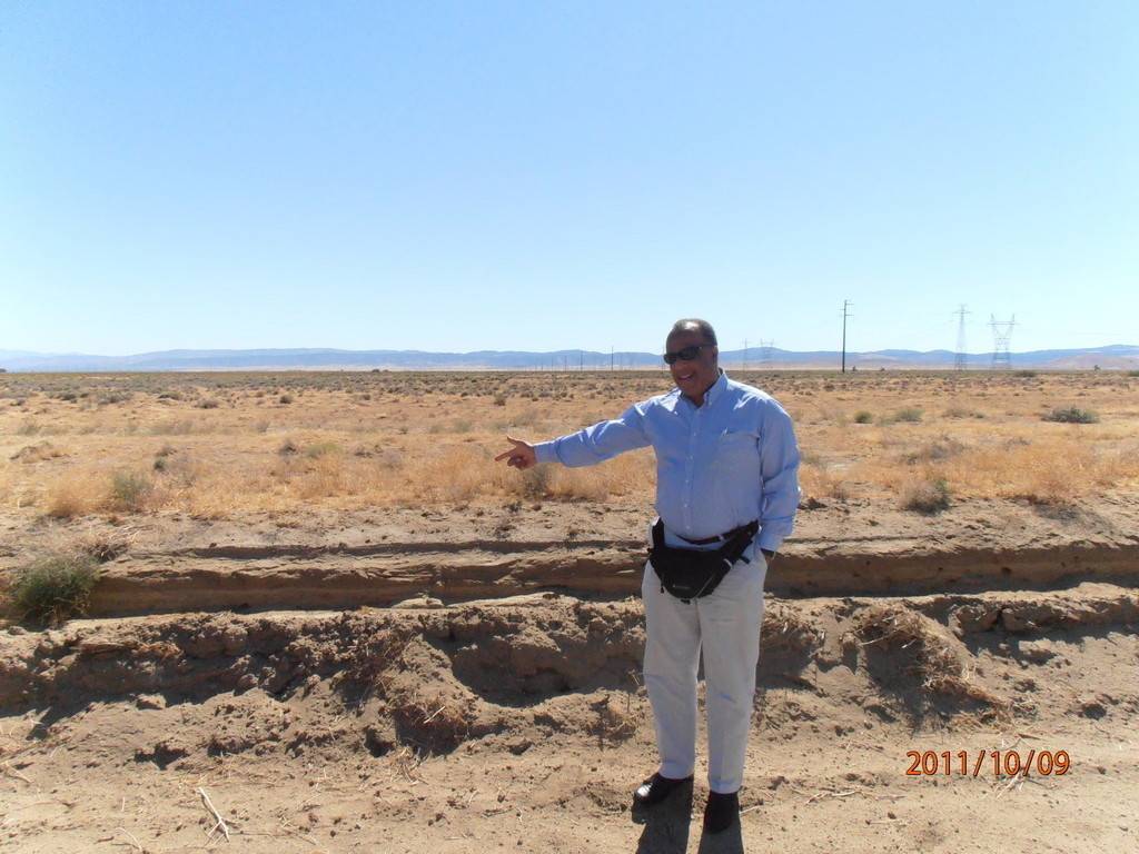 David Price's profile image