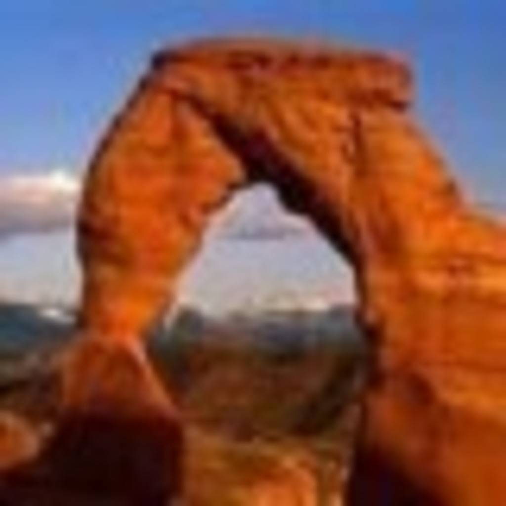 Steve Drake's profile image