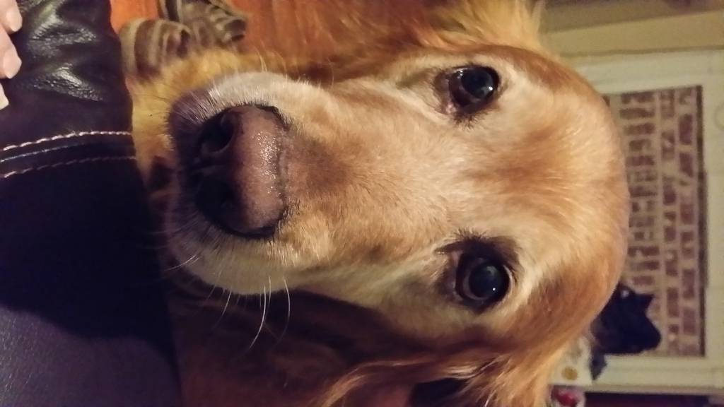 Gary Furlong's profile image