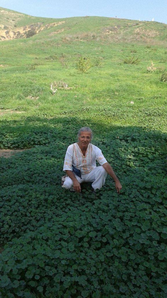 Refugio Ceballos's profile image