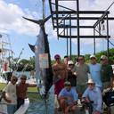 Donald Brandt's profile image