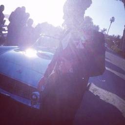 Moshe Newell's profile image