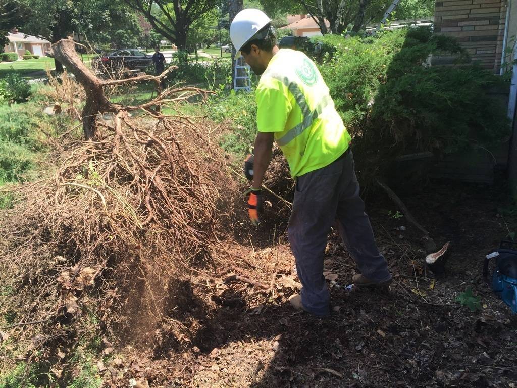 Deangelo Wade's profile image