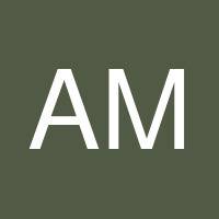 Abe M.'s profile image