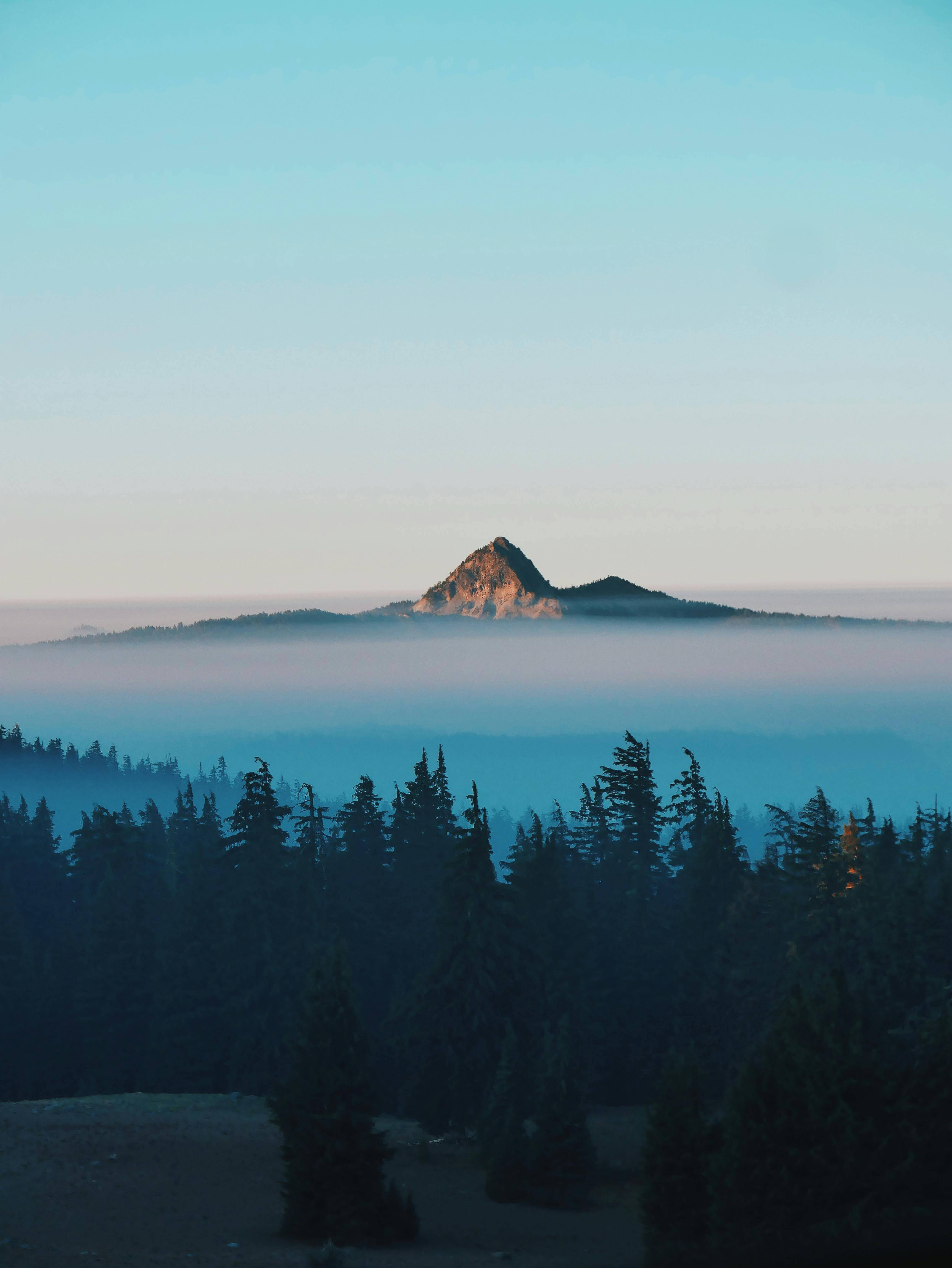 Bill Karwacki's profile image