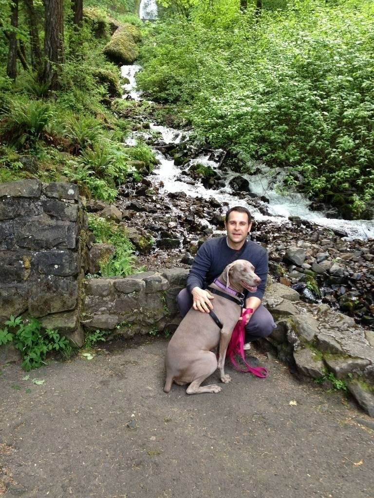 Dennis C.'s profile image