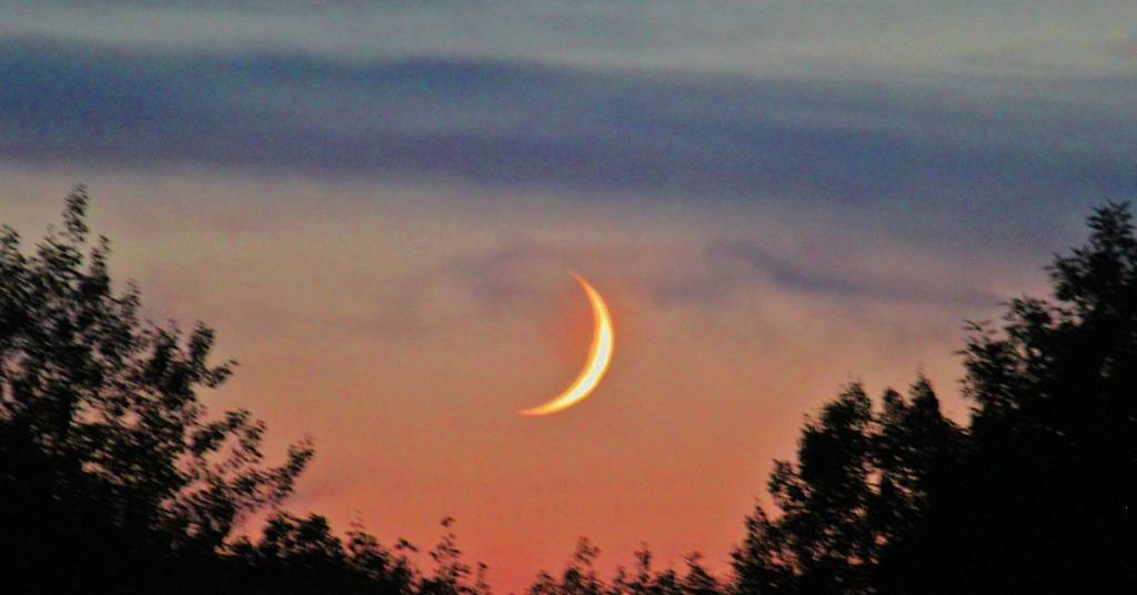 J French's profile image