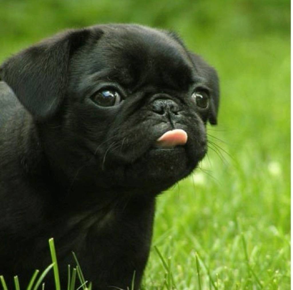 Alex Carter's profile image