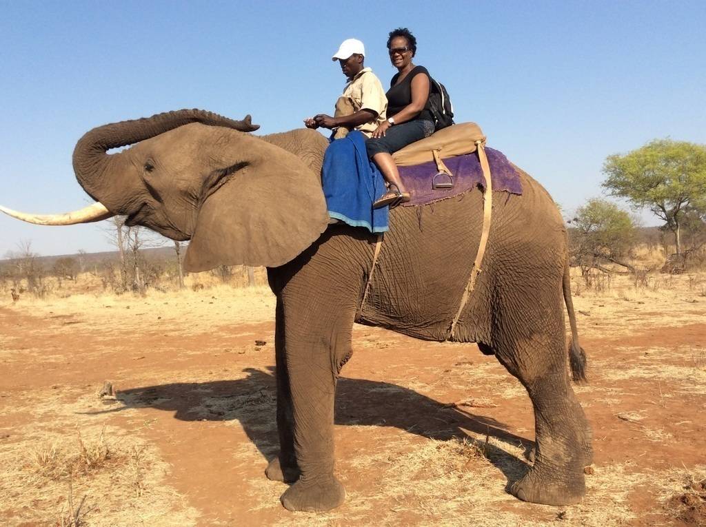 Roselyn Williams's profile image