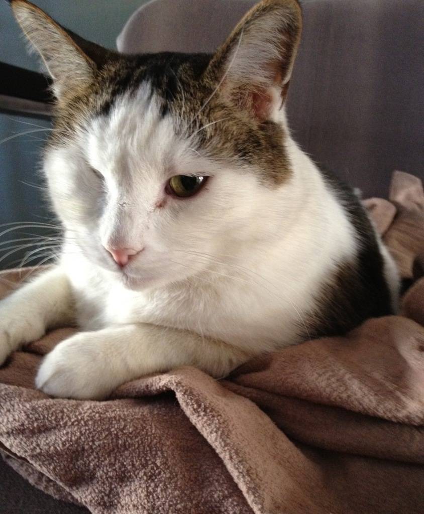 DAVID CHARLES's profile image