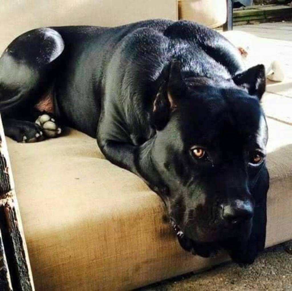 Carrington Ragin's profile image