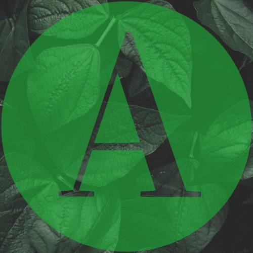 Chris S.'s profile image