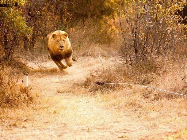 Wes S.'s profile image