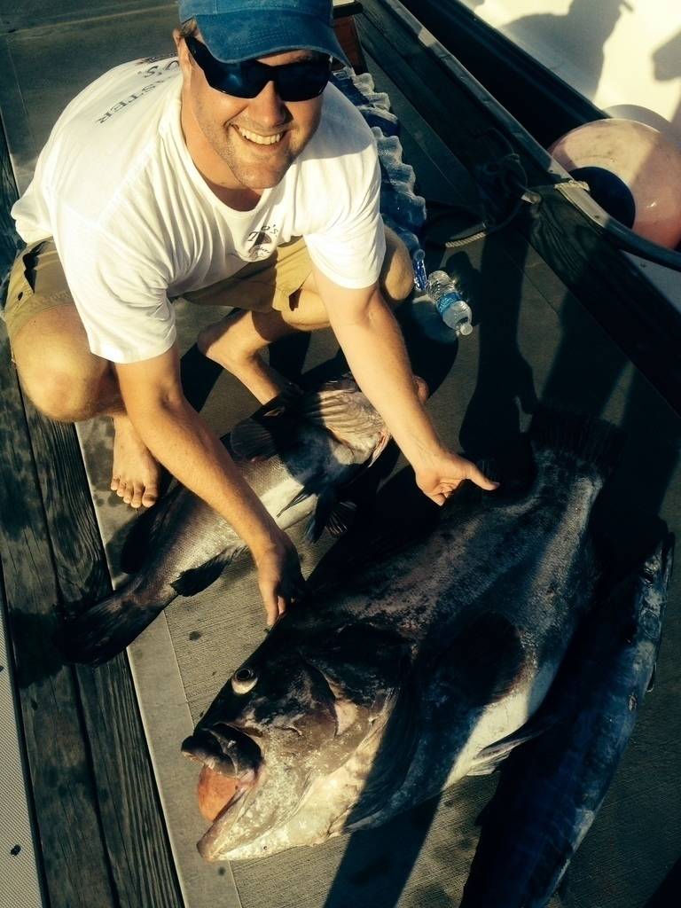 Robert Paine's profile image