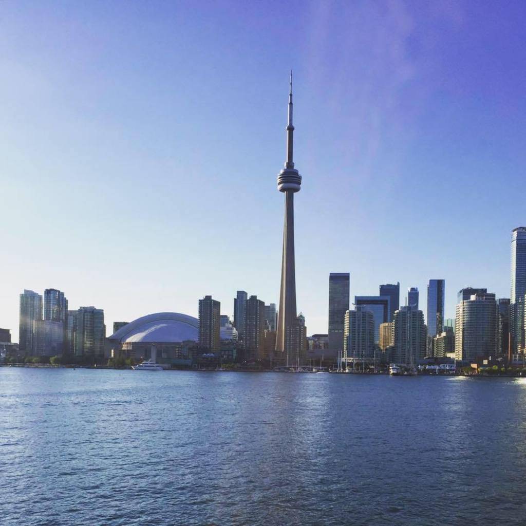 Karl Newell's profile image