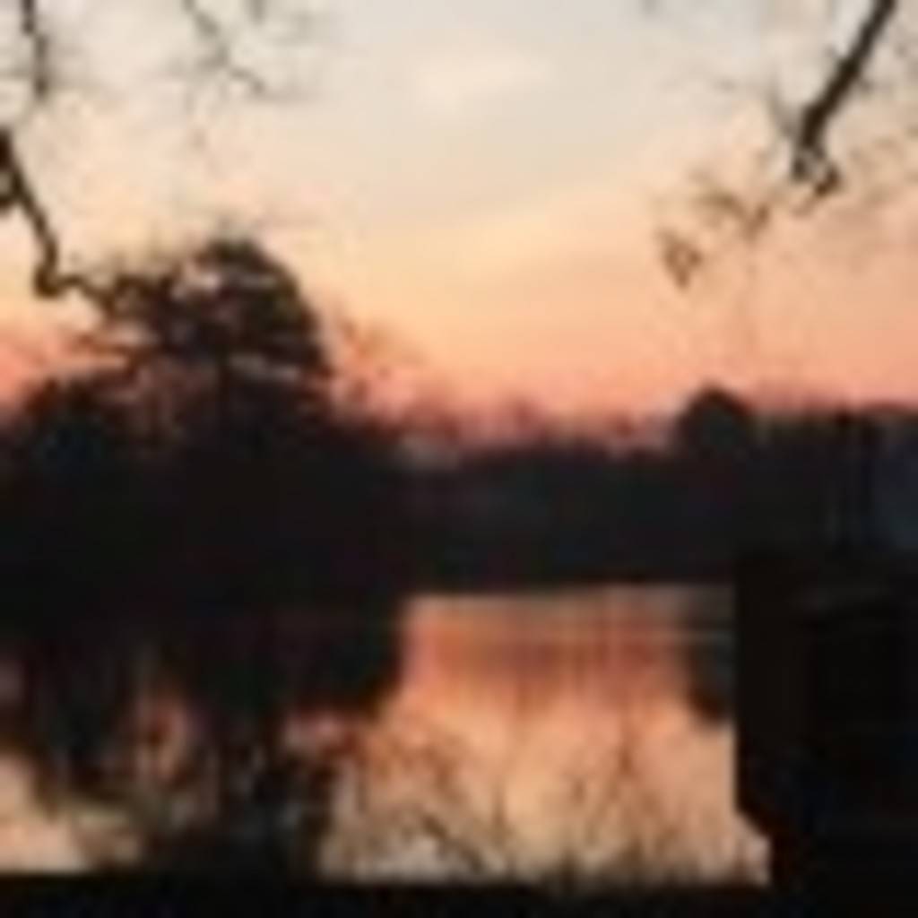 Erin Failaev's profile image