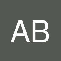 Anat Barashy's profile image