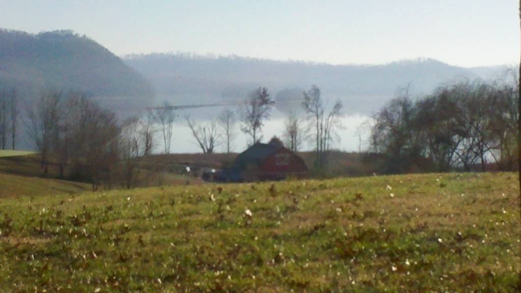 Lesly Jean Baptiste's profile image