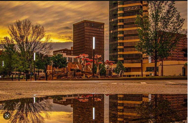 David Sharrah's profile image