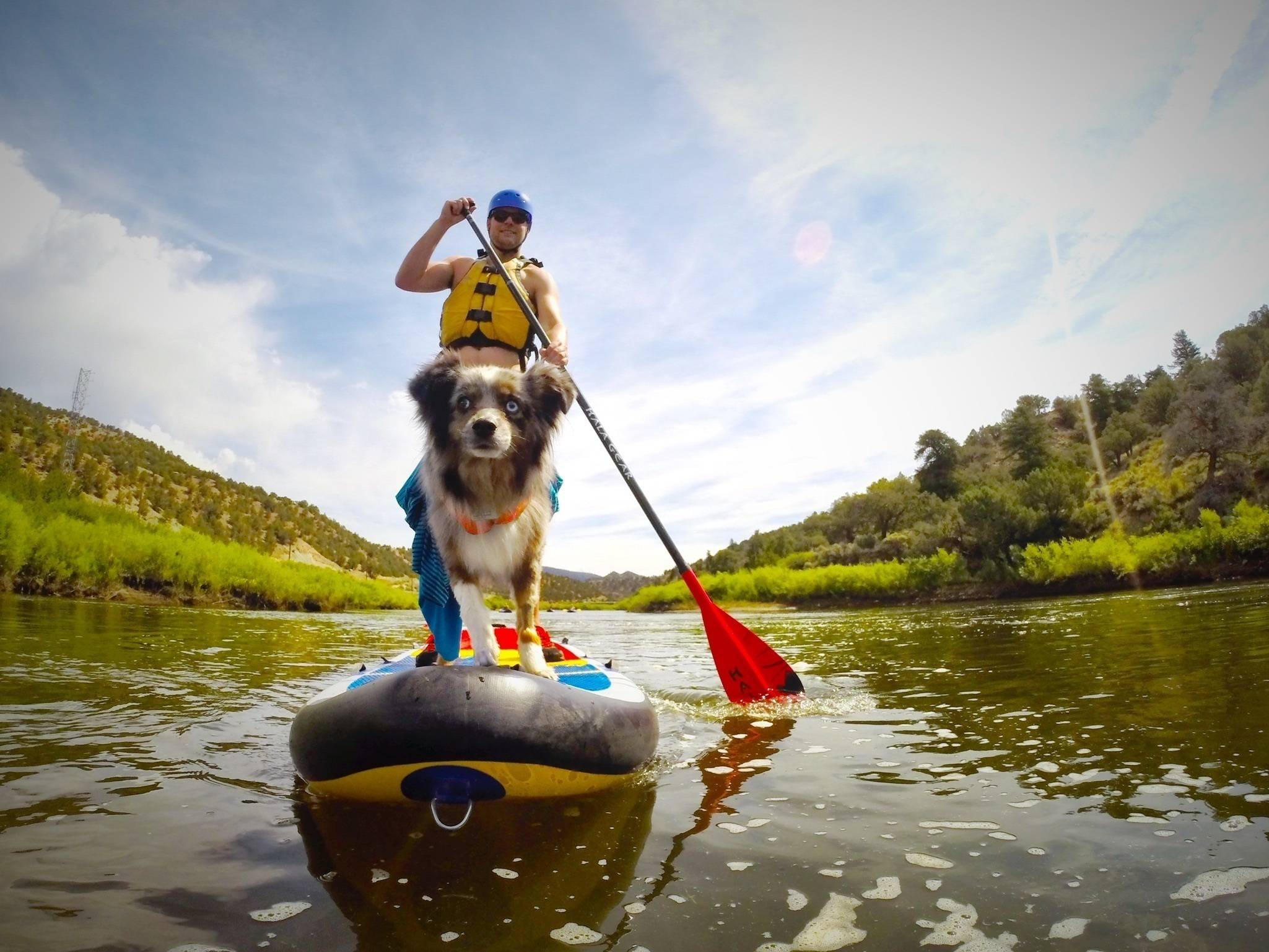 Ross Carpenter's profile image