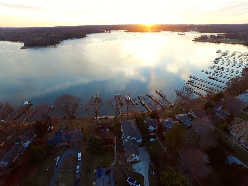 Polly Brady's profile image