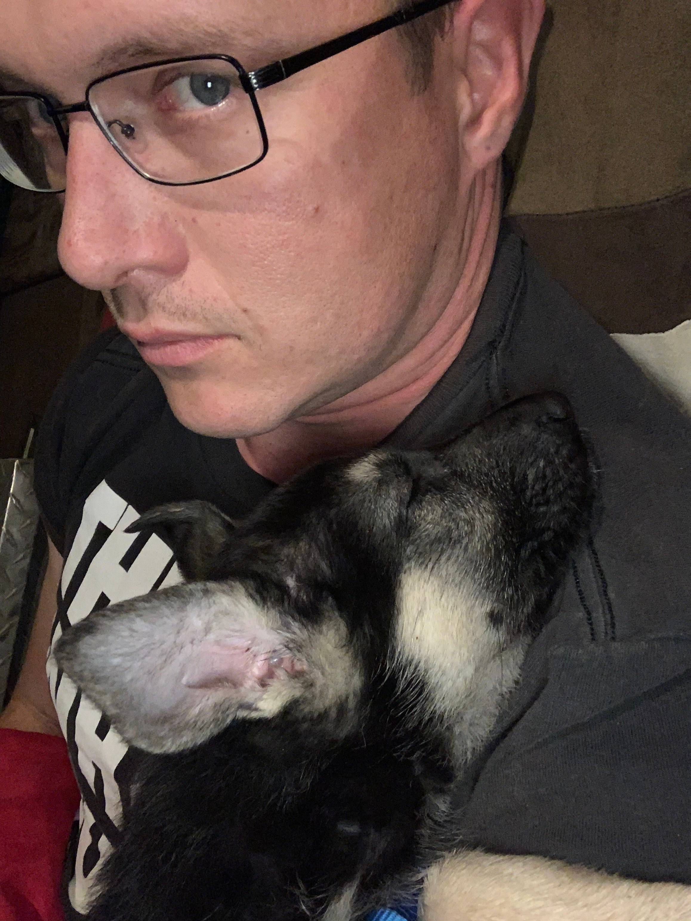 Kyle Lane's profile image