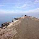 Gwen Irvin's profile image