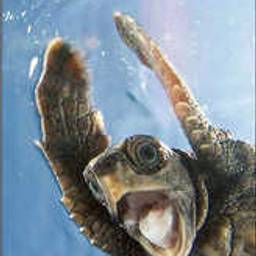 Christopher Davis's profile image
