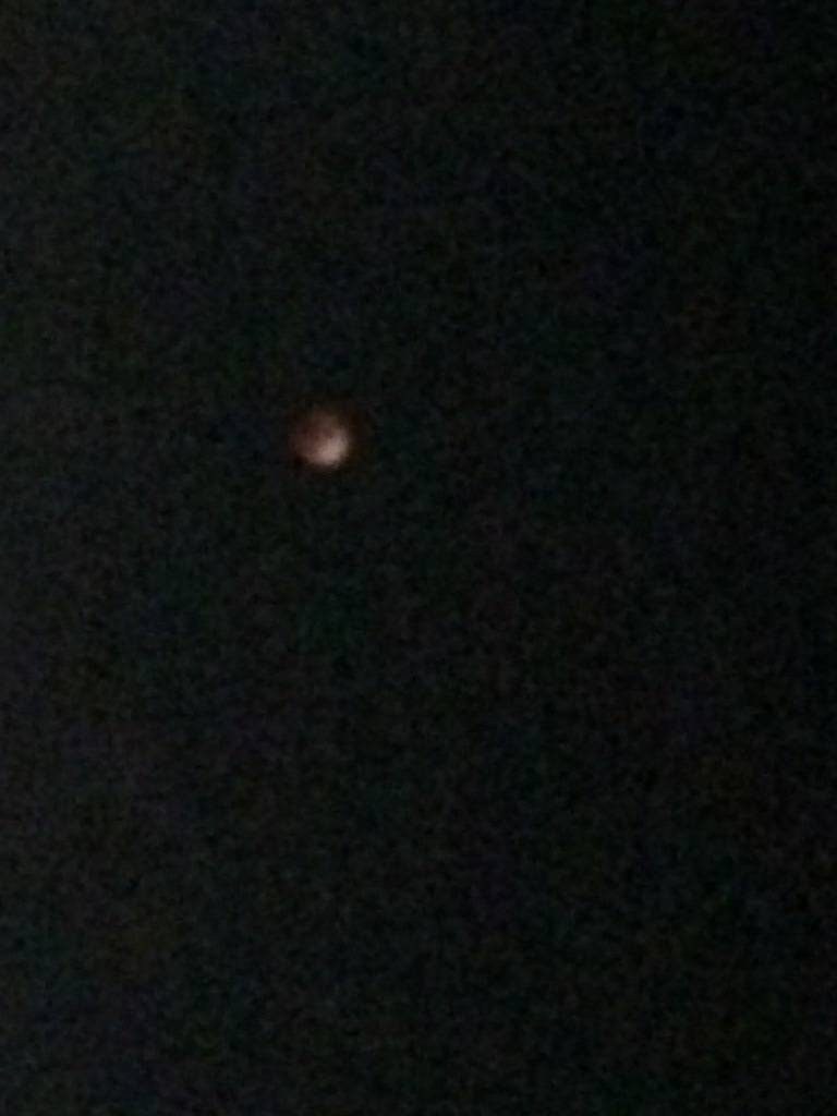 Greg Sphincterman's profile image