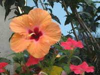 Regina L.'s profile image