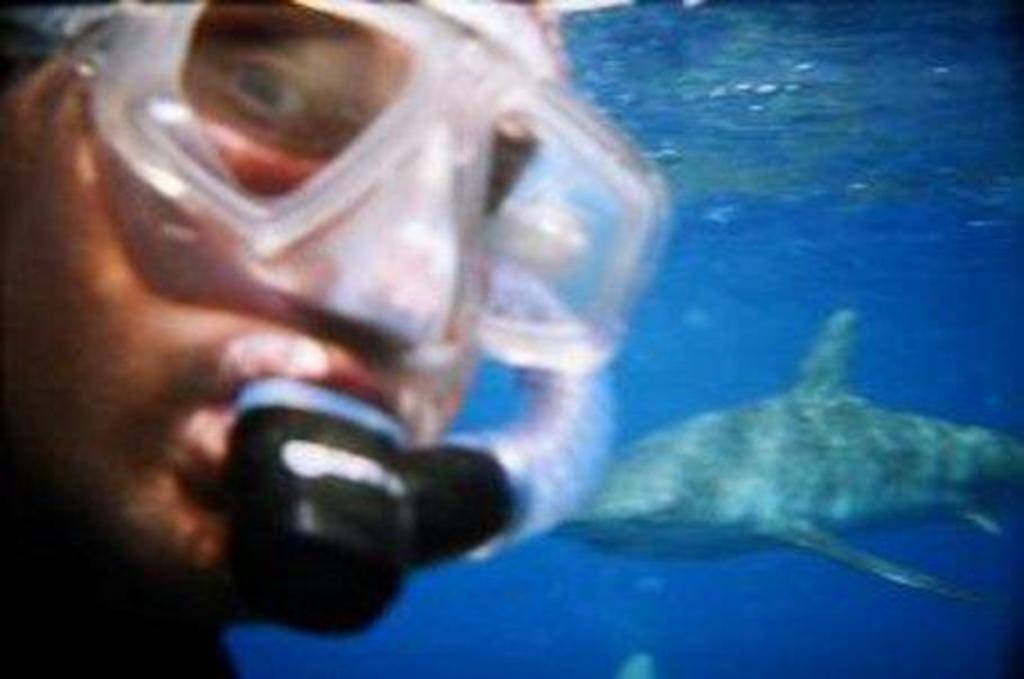 Mark Guagliardo's profile image