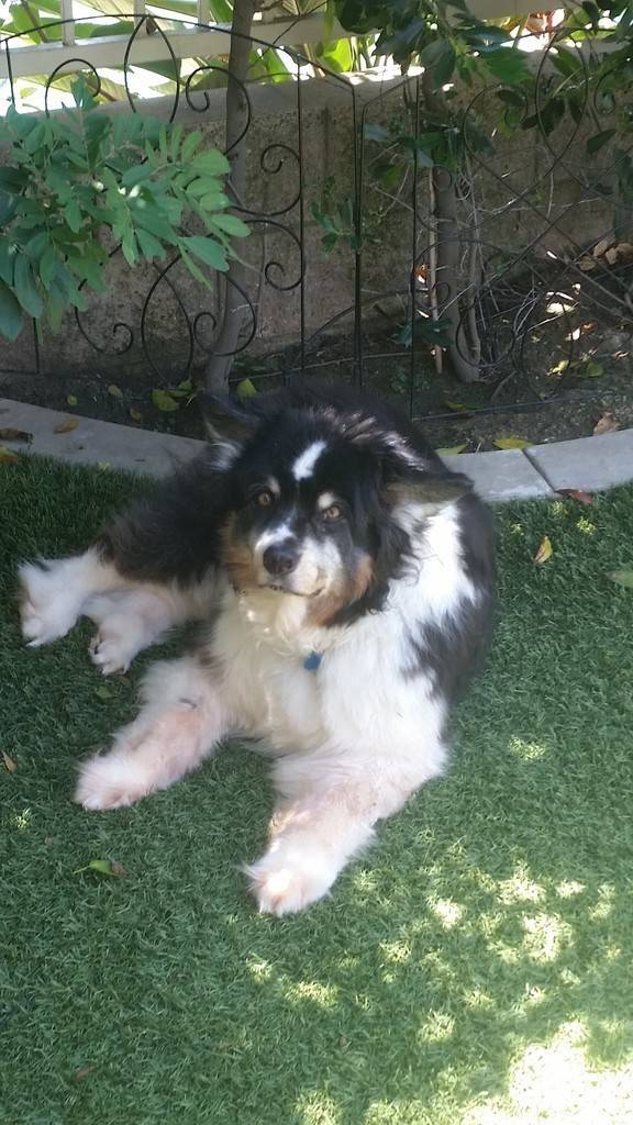 Michael See's profile image