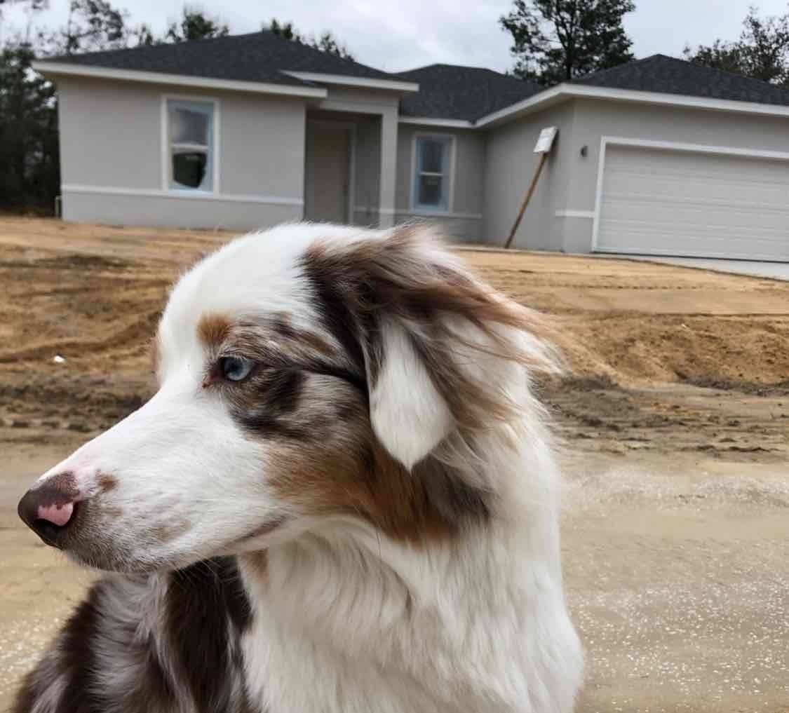 Brock Holliman's profile image