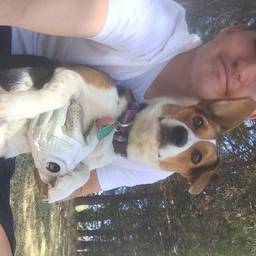 John Eidel's profile image