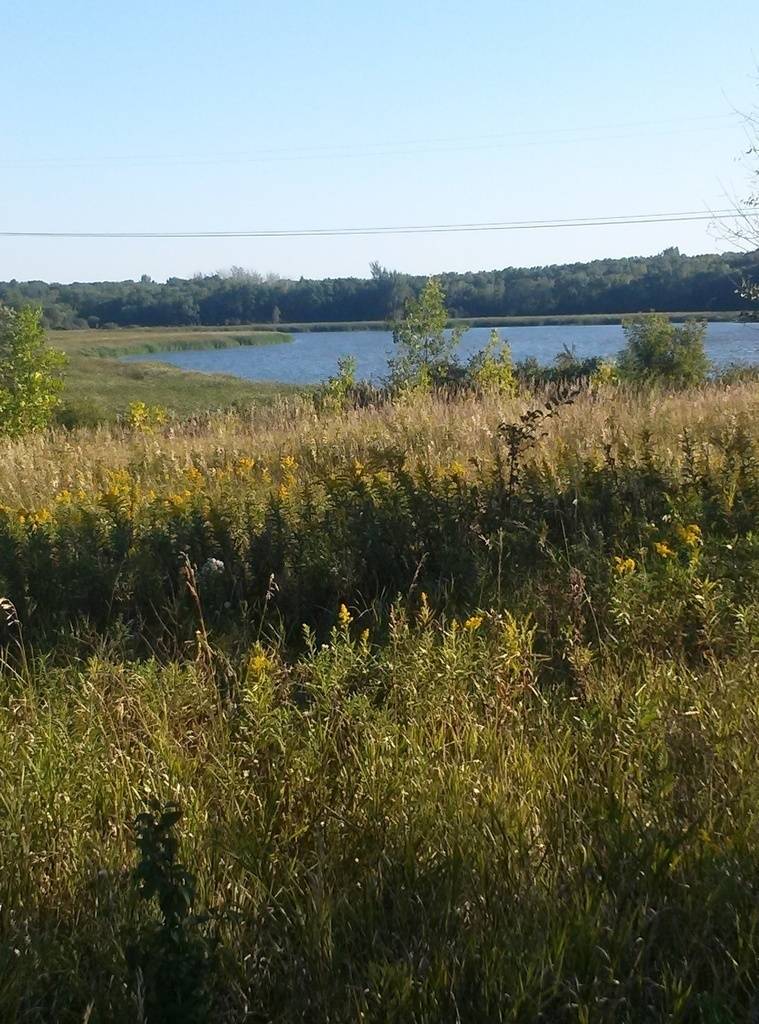 Terri Castle's profile image