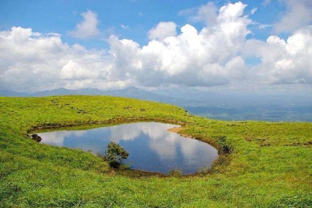 Rock Remo's profile image