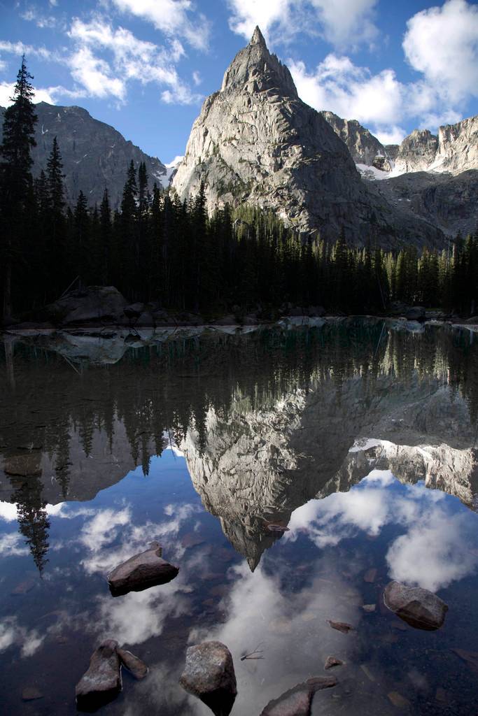 Jack Brett's profile image