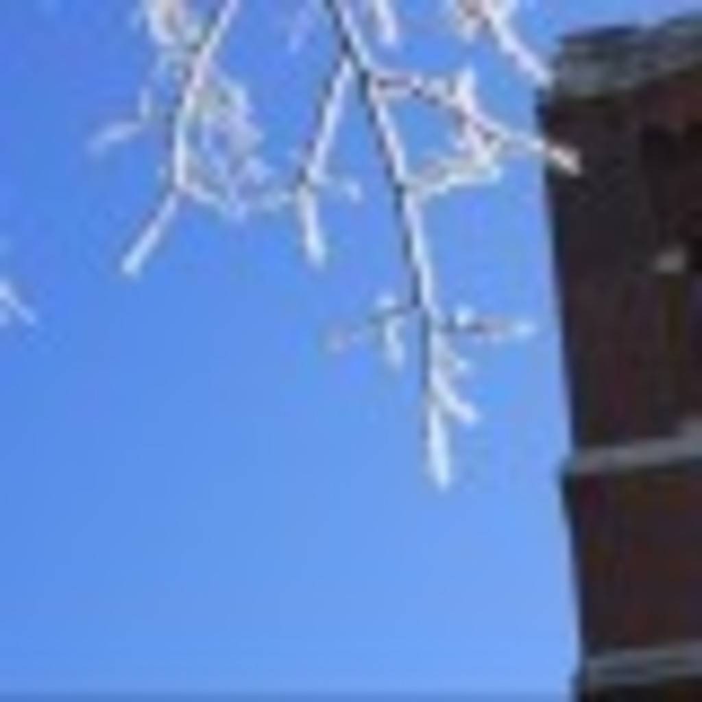 Alan Del's profile image