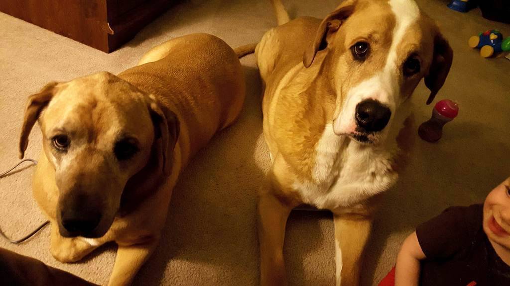 Sammie Richardson's profile image