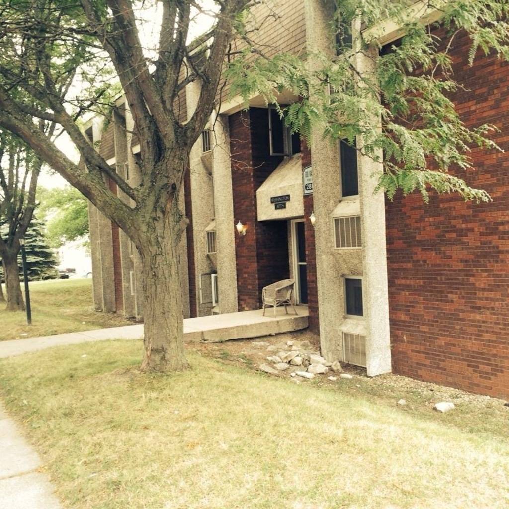 Max Gorham's profile image