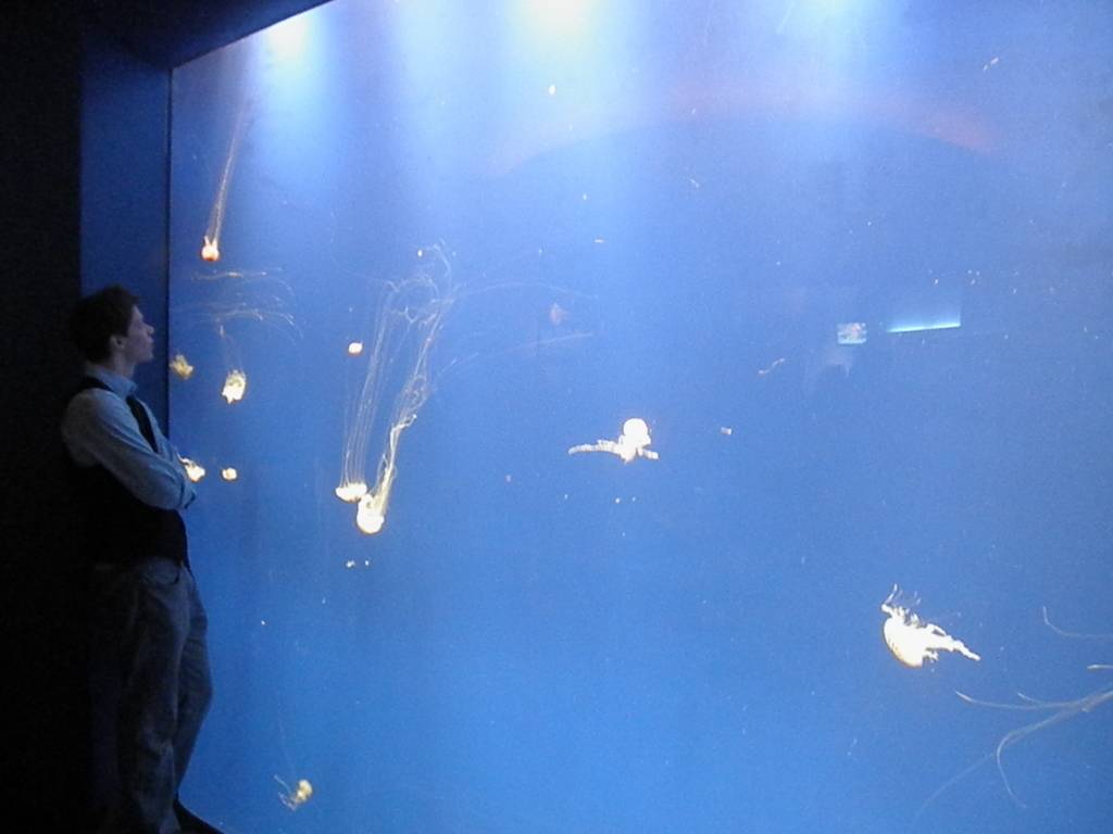 Oliver Roe's profile image