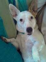 Robin Beatty's profile image