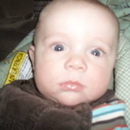 Amy F.'s profile image