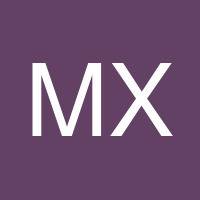 Meihong Xing's profile image