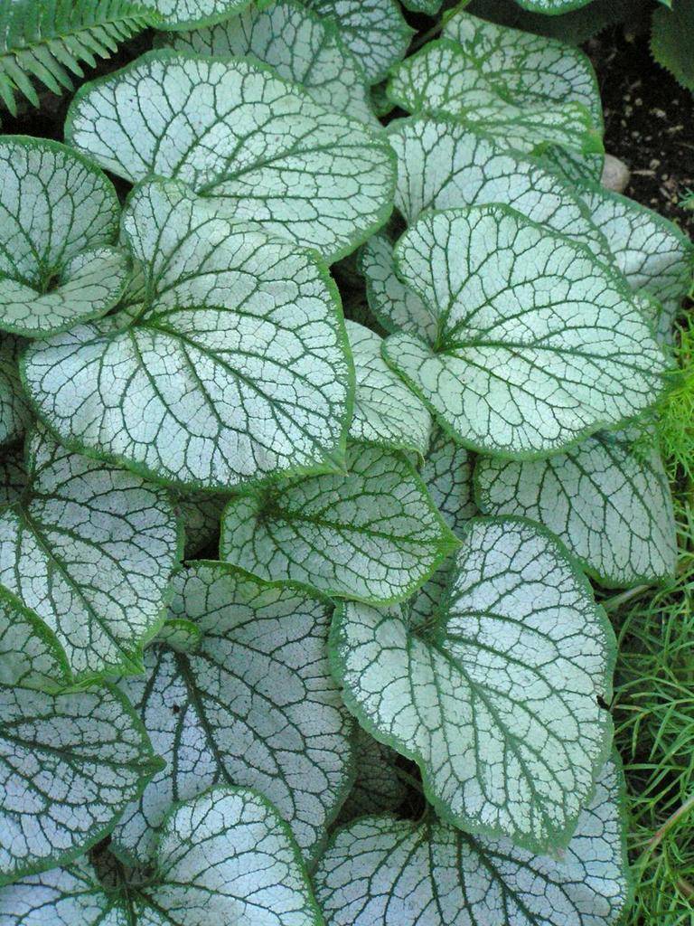 Charles Hughes's profile image