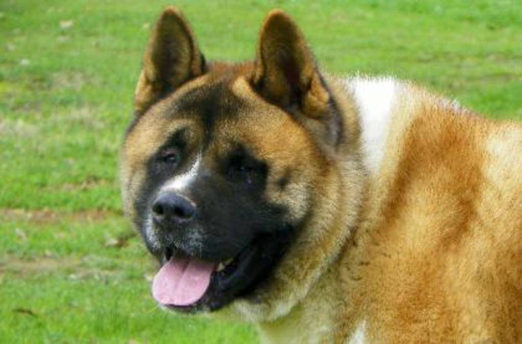 Brandon Taylor's profile image