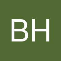 Bradley Hong's profile image