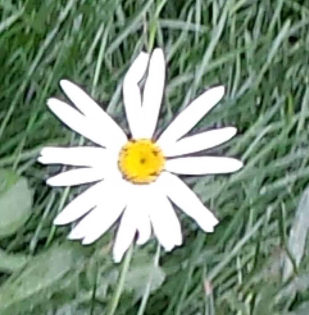 Alan Reeves's profile image