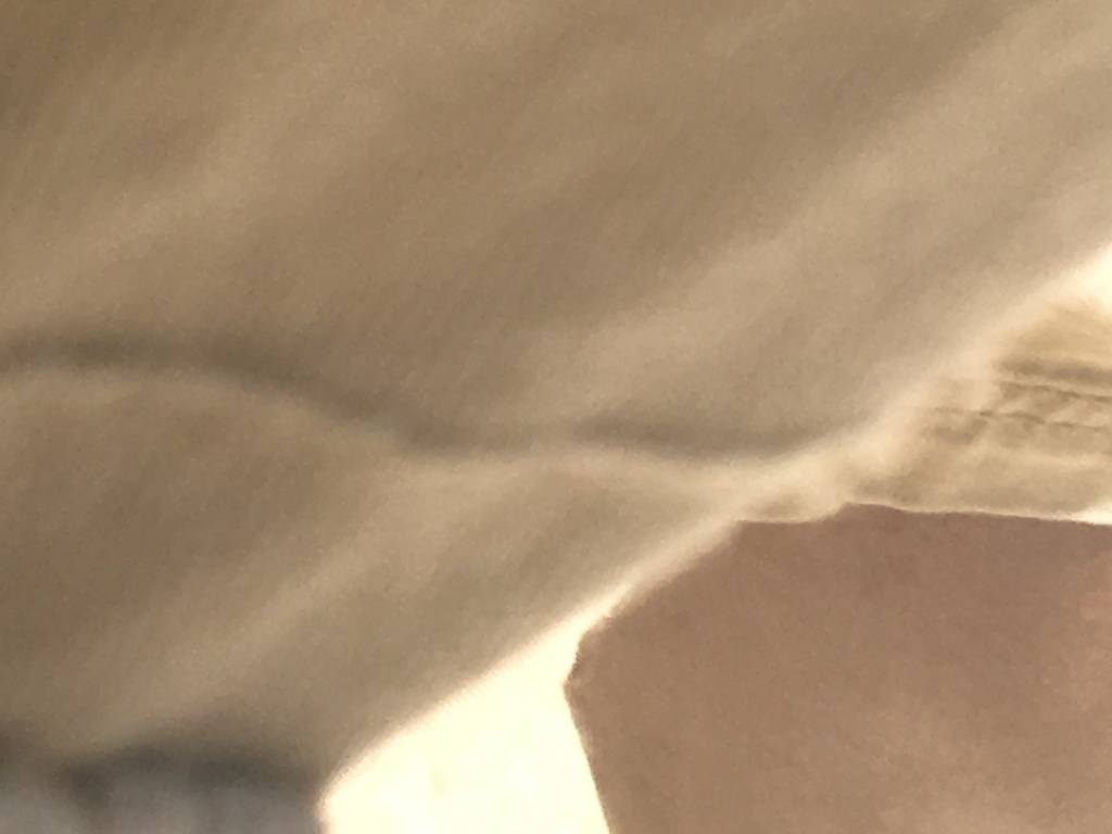 Brian Gray's profile image